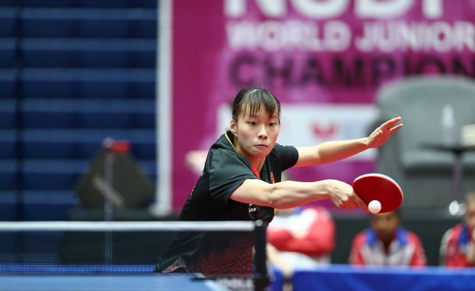 家队的守门 家队的守门