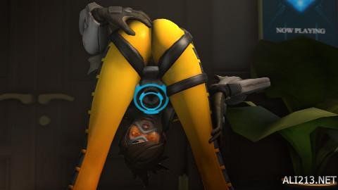 他们会利用 他们会利用