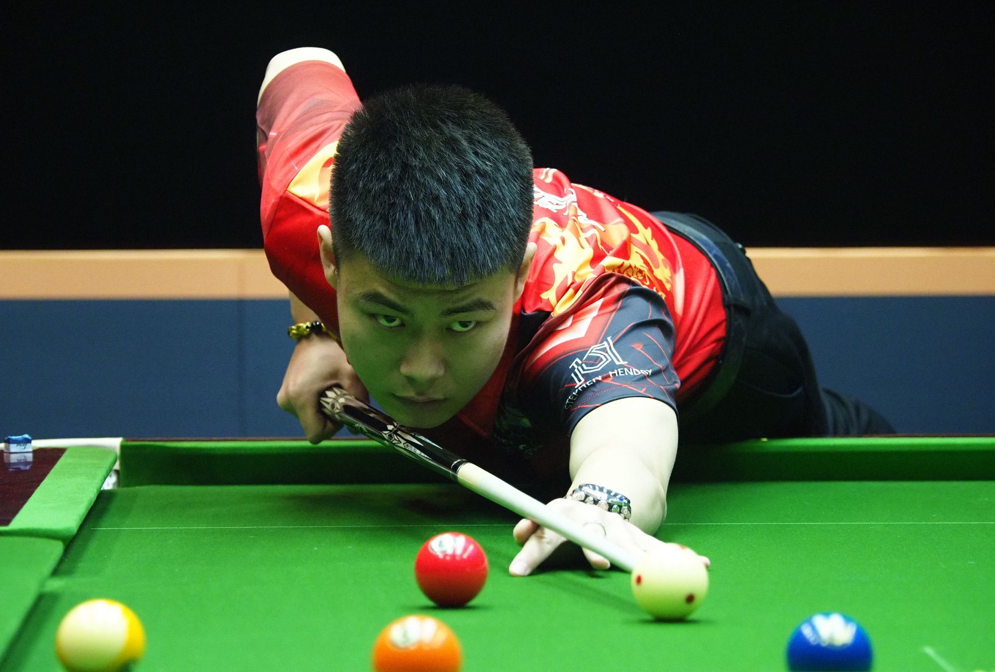 森林狼计划 森林狼计划