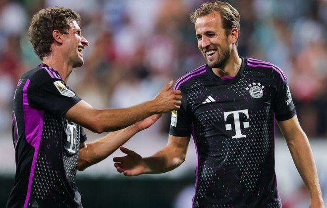 他们在球场 他们在球场