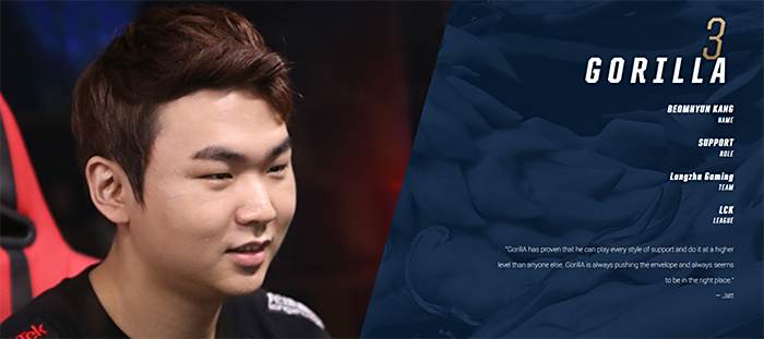 替代体能红 替代体能红