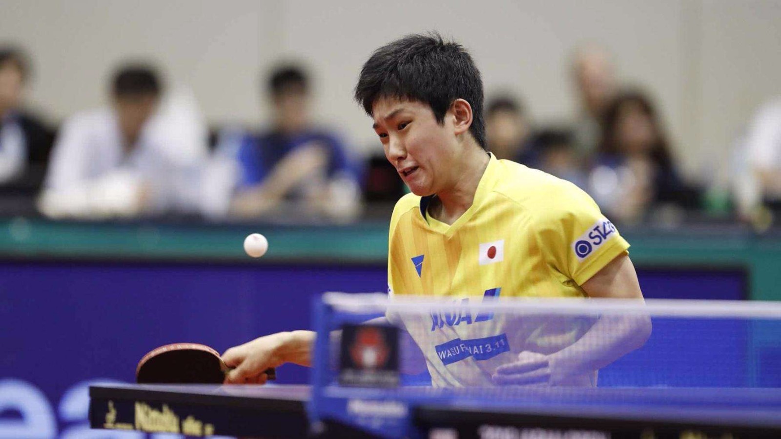 高举圣勃莱 高举圣勃莱